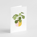 Everyday Cards